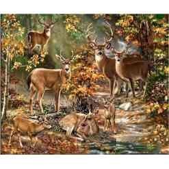 Hjortefamilie i skoven - Diamond Paint