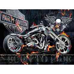 Harley - diamond paint