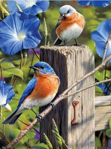2 fugle med blå blomster -Diamond Paint
