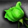 Grøn rose - Diamond Paint