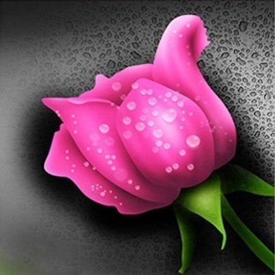 Pink rose - Diamond Paint
