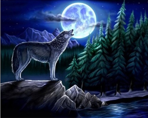 Hylende ulv - Diamond Paint