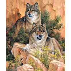 2 ulve på sten i diamond paint