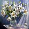 Hvide liljer i vase - diamond paint