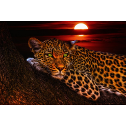 Leopard ved solnedgang i diamond paint