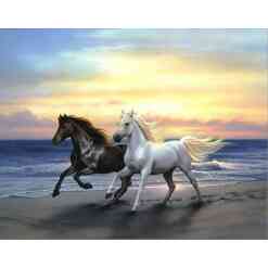 Sort og hvid hest på strand i diamond paint