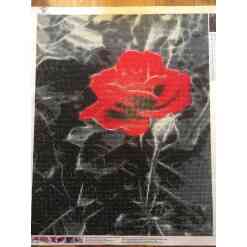 Rose med sort-hvid baggrund i diamond paint