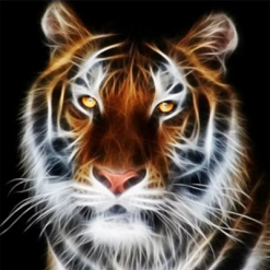 Tiger med sort baggrund i diamond paint