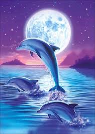 Delfiner i Fuldmåne